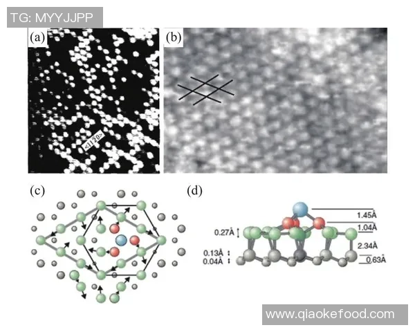 足球烯相邻的魅力与挑战探讨如何推动足球文化的创新与发展